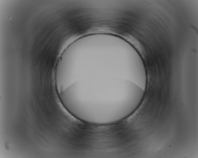 X0000098041382200804251029