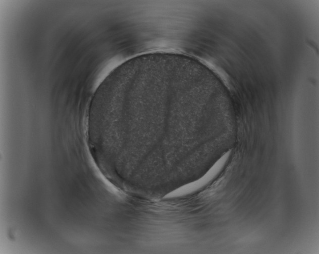 X0000098041383200804251029