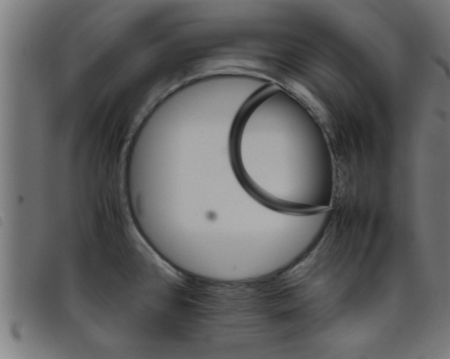 X0000098041384200804251029