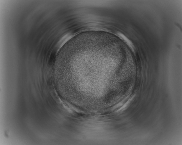 X0000098041385200804251029