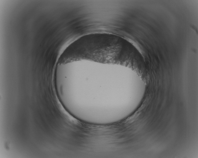 X0000098041387200804251029