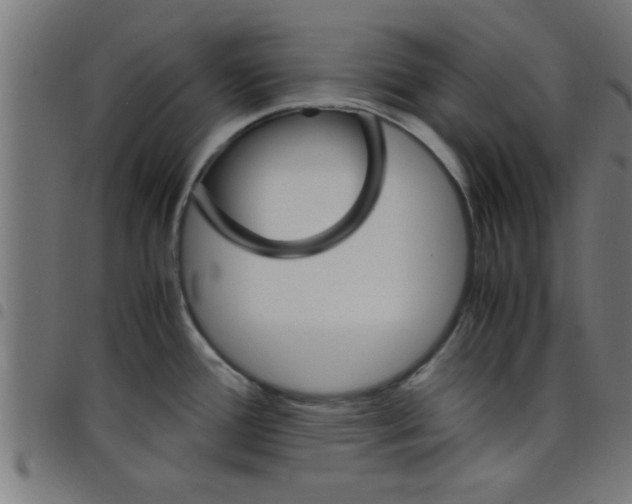 X0000098041388200804251029