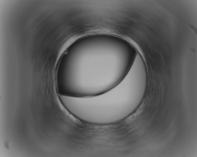 X0000098041389200804251029