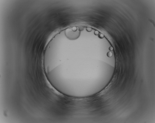 X0000098041390200804251029