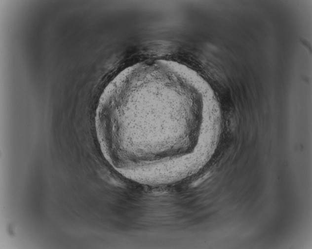 X0000098041393200804251028