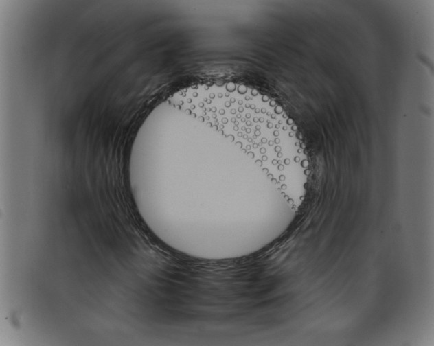 X0000098041394200804251028