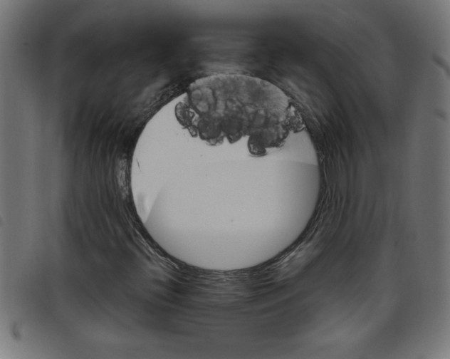 X0000098041396200804251028