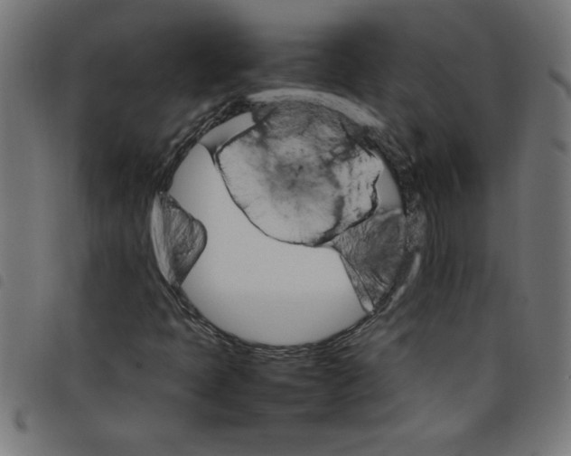 X0000098041397200804251028