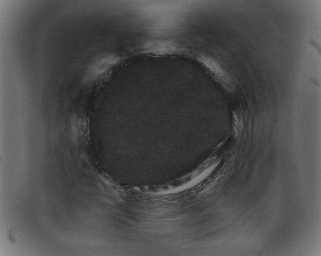 X0000098041398200804251028