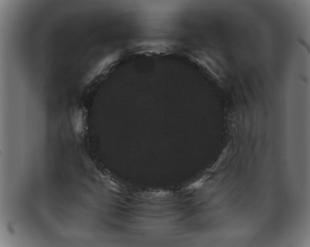 X0000098041399200804251028