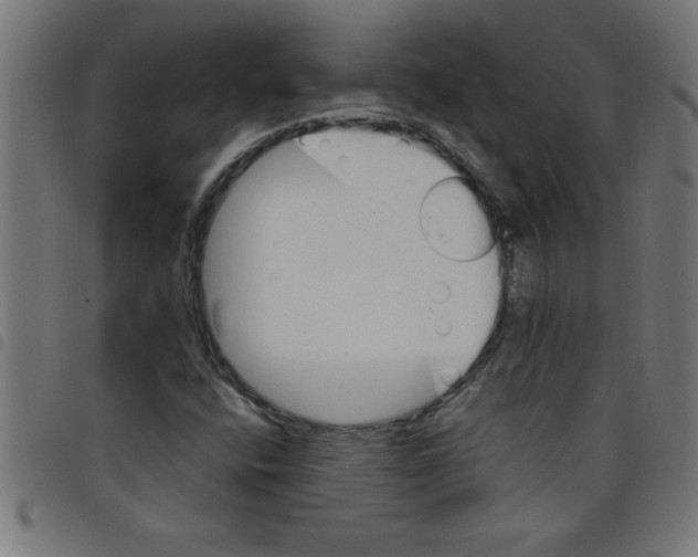 X0000098041400200804251028