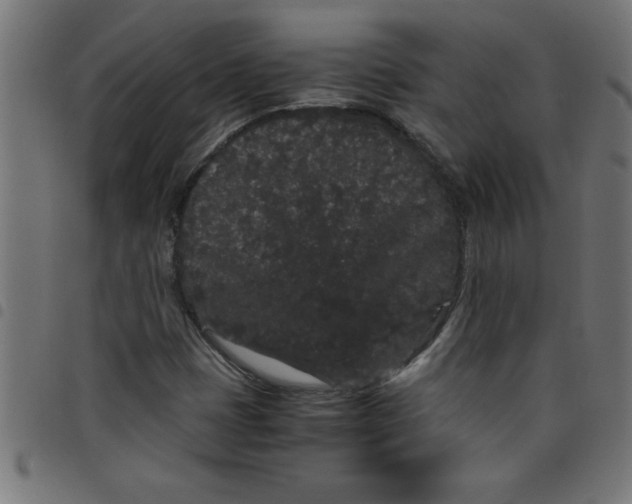 X0000098041401200804251028