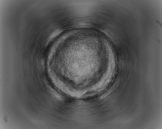 X0000098041402200804251028