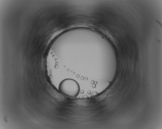 X0000098041404200804251028