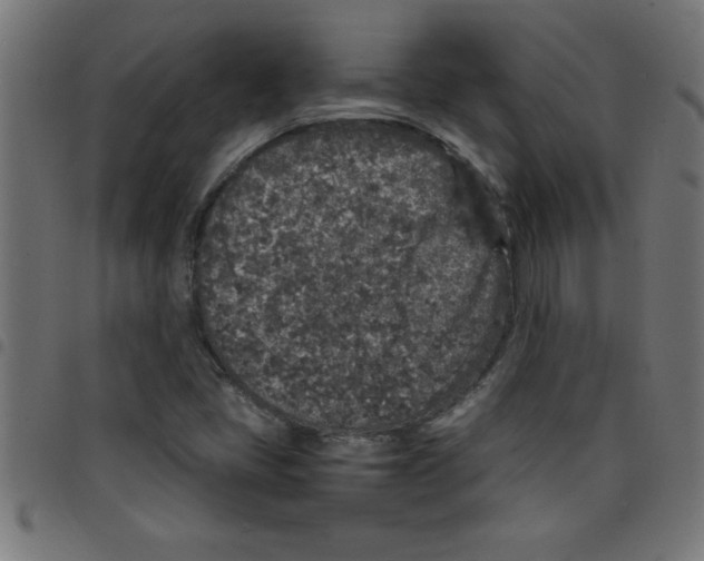 X0000098041405200804251028