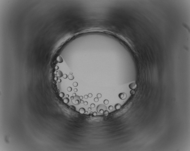 X0000098041406200804251028