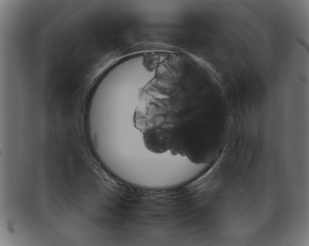 X0000098041407200804251028