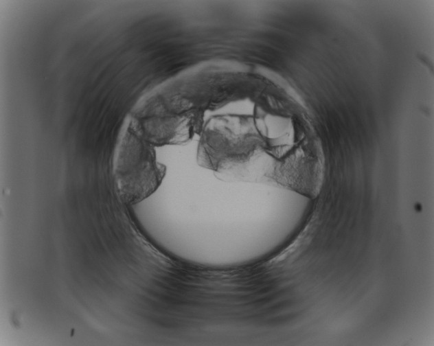 X0000098041409200804251028