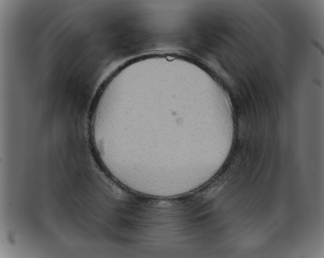 X0000098041412200804251028