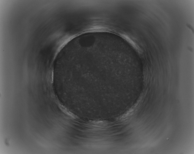 X0000098041413200804251028