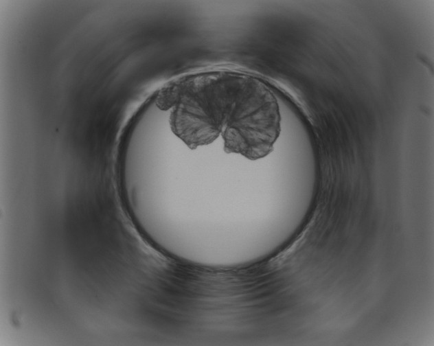 X0000098041414200804251028