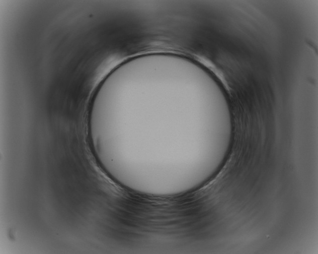 X0000098041415200804251028