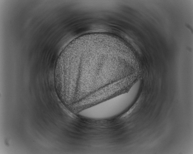 X0000098041417200804251028