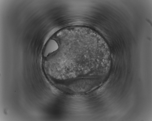 X0000098041418200804251028