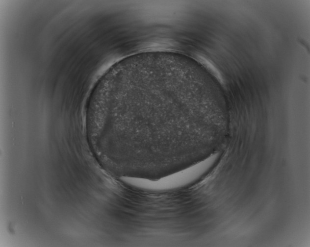 X0000098041419200804251028