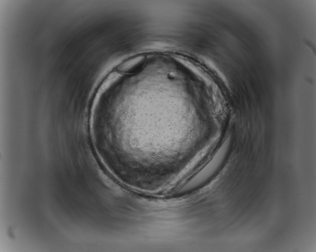 X0000098041421200804251028