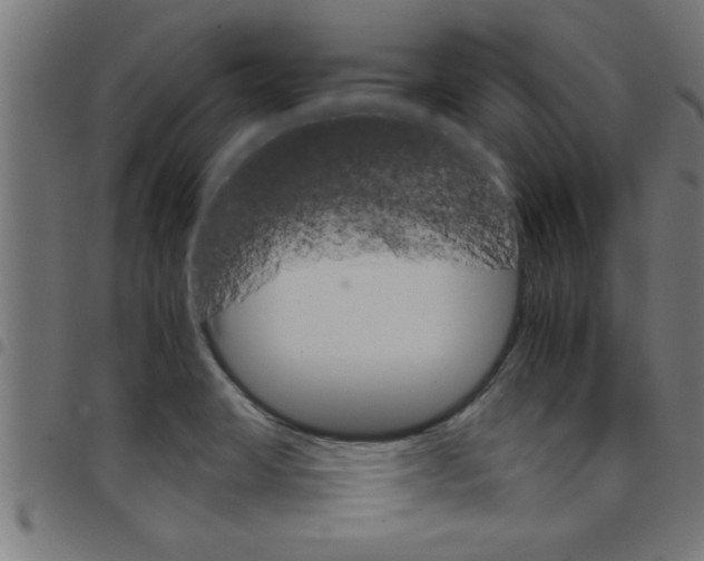 X0000098041423200804251028