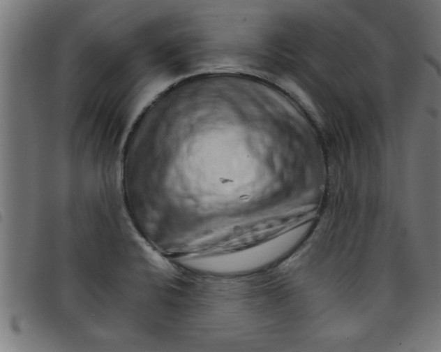 X0000098041424200804251029