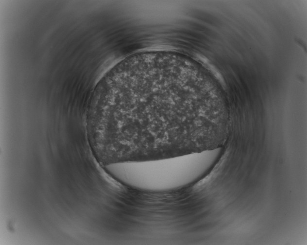 X0000098041425200804251029