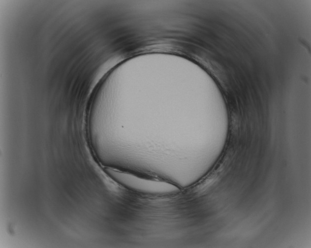 X0000098041426200804251029