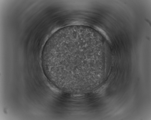 X0000098041427200804251029