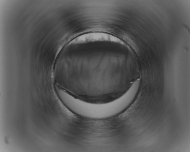 X0000098041428200804251029