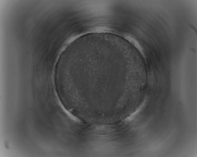 X0000098041429200804251029