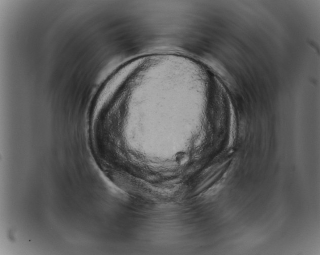 X0000098041430200804251029