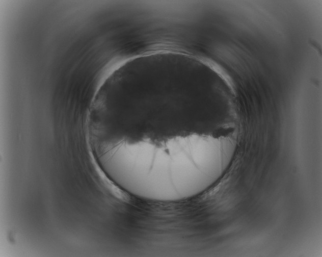 X0000098041431200804251029