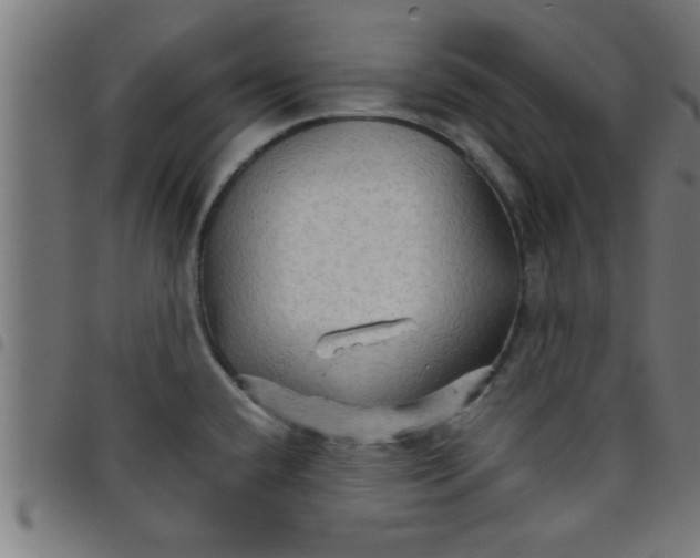 X0000098041432200804251029