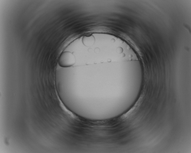 X0000098041433200804251029