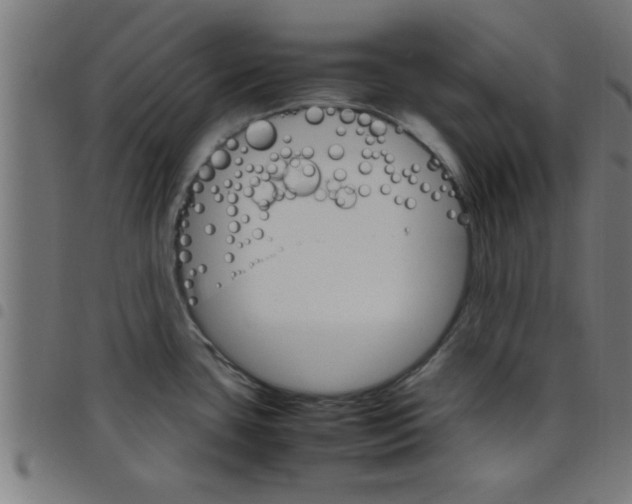 X0000098041435200804251029