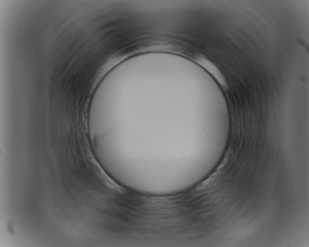 X0000098041436200804251029