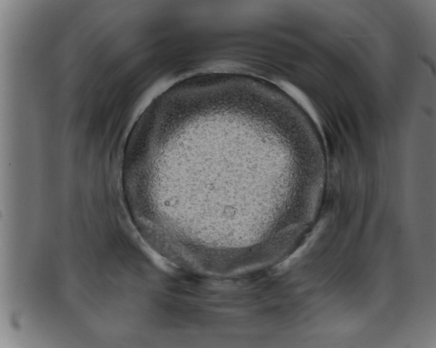 X0000098041437200804251029