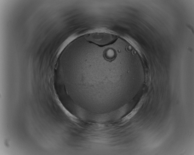 X0000098041438200804251029