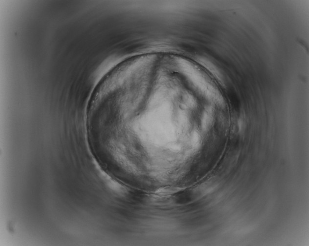 X0000098041439200804251029