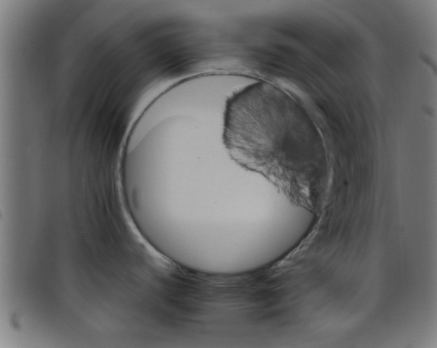 X0000098041440200804251029