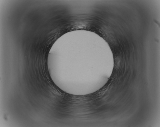 X0000098041442200804251028