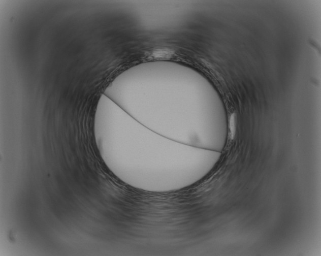 X0000098041443200804251028