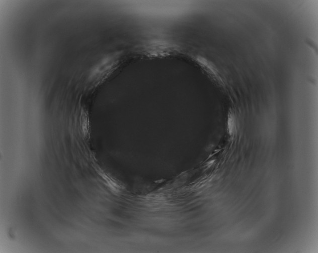 X0000098041444200804251028